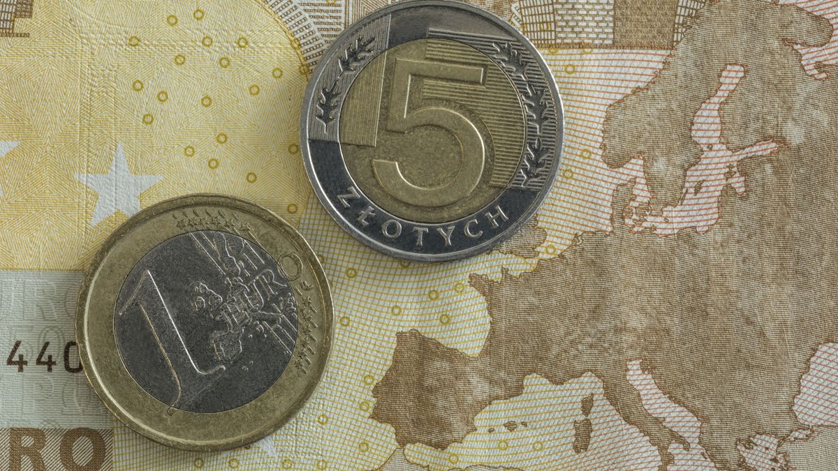 Kursy walut. Co z euro?