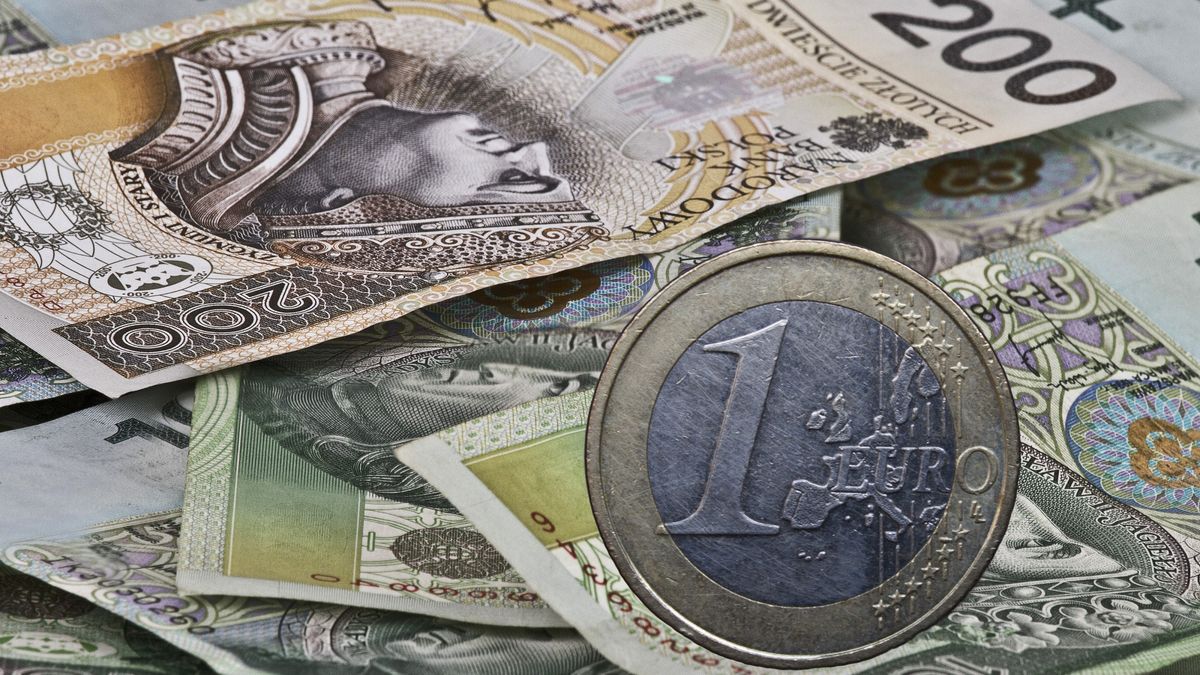 Kursy walut. Co ze złotym?