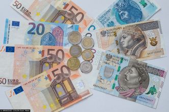 Kursy walut. Euro daleko od szczytu, ale to dobrze