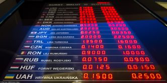 Tarcza antykryzysowa do walki z koronawirusem. Złoty jest jeszcze słabszy