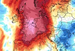 Pogoda. Europa walczy z falą upałów. Rekordy we Francji, Belgii i Holandii
