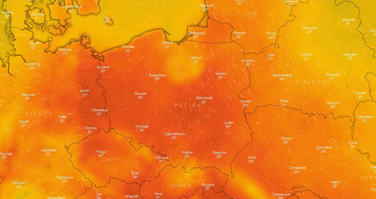 Do piątku możemy spodziewać się upałów sięgających do 35 stopni Celsjusza