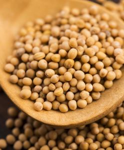 Prymat wycofuje gorczycę z pałeczkami salmonelli