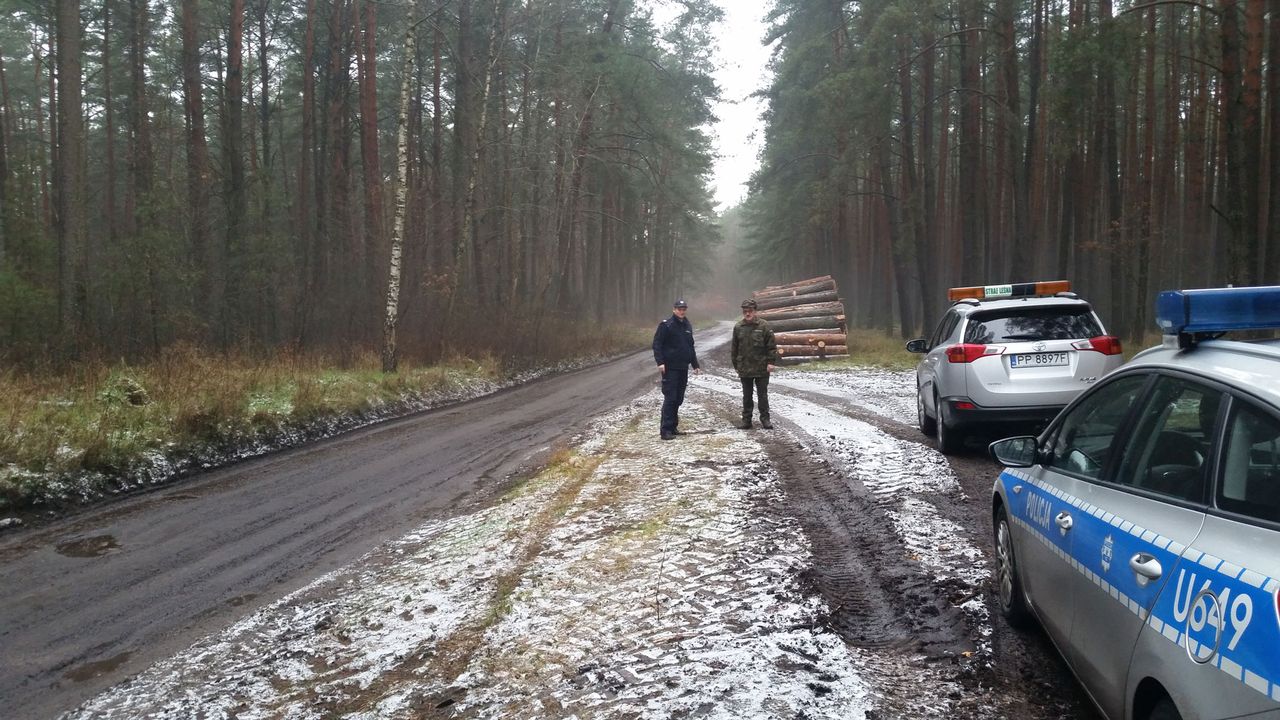 Wspólne działania policji i Straży Leśnej