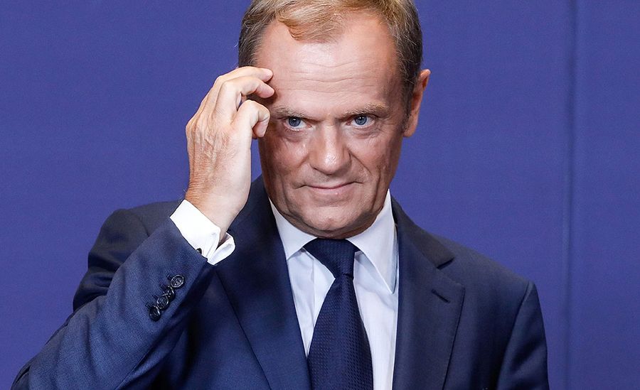 Donald Tusk wróci do rodzimej polityki? Polacy zdecydowali