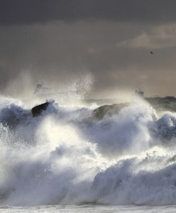Bałtyk. Tragedia Polaków w Kłajpedzie. Córka zaginionego prosi o pomoc w poszukiwaniach