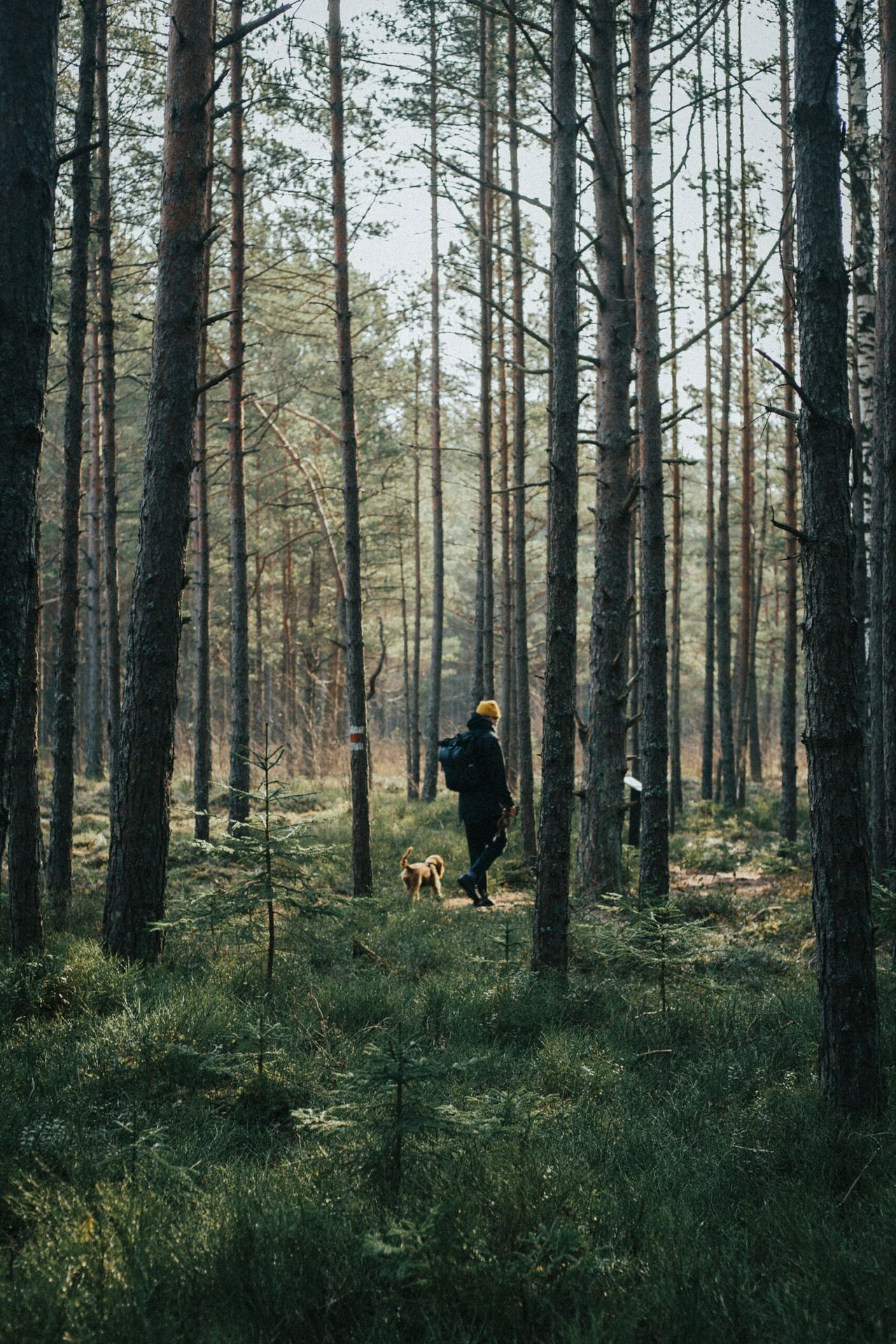 Rūta Celma/unsplash