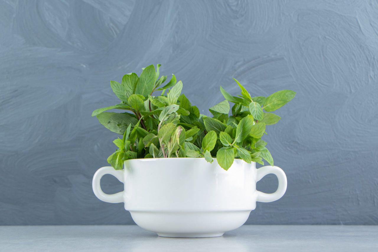 A cup of organic mint , on the marble background. High quality photo
