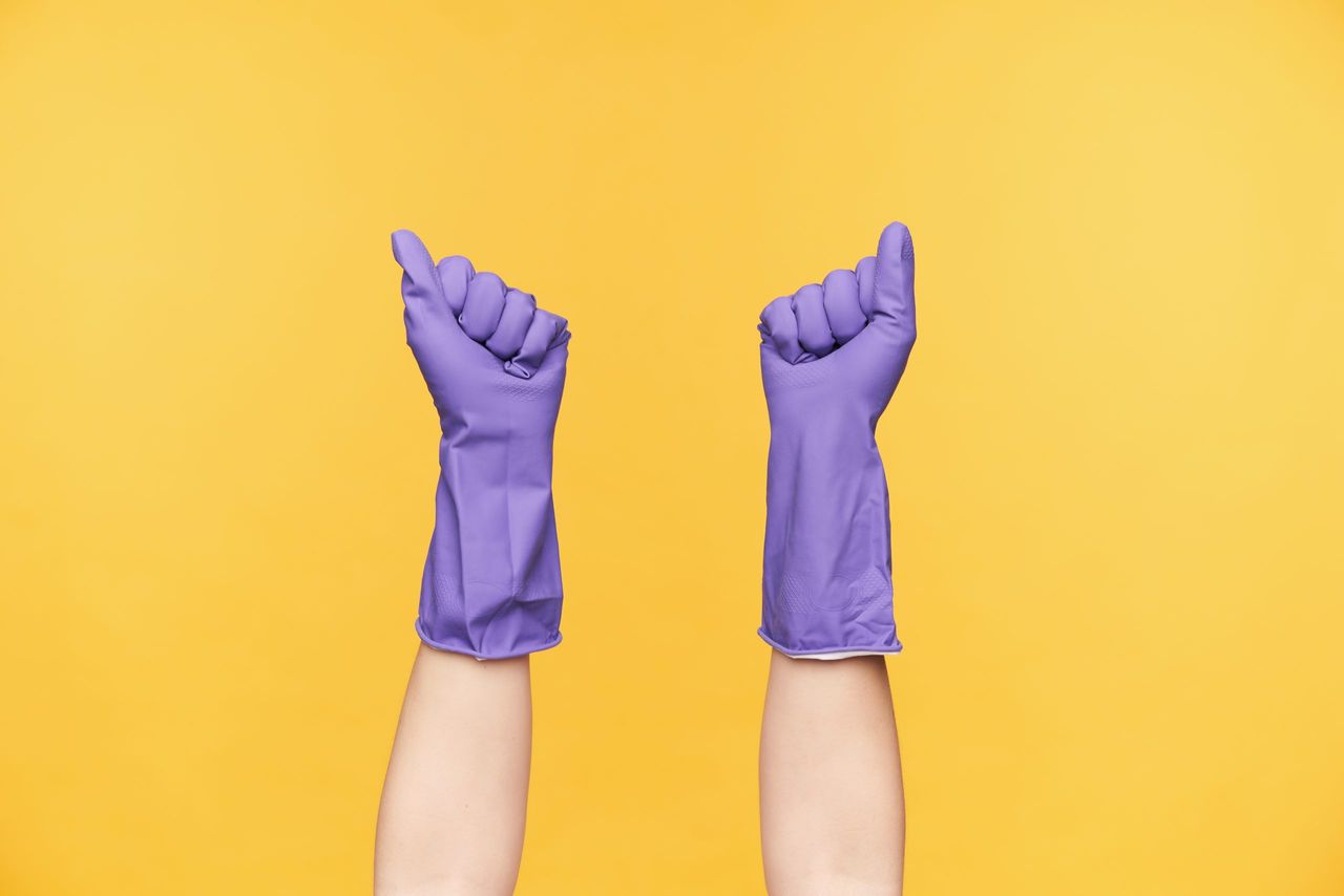 Horizontal shot of raised lady's hands dressed in violet rubber gloves being isolated against yellow background, going to clean house on her weekend