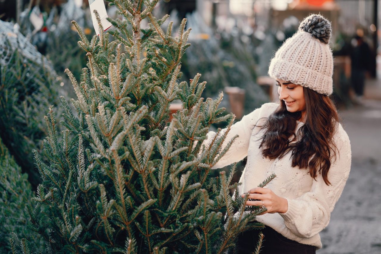 Elegant girl buys a Christmas tree. Woman in a white knited sweater. Beautiful lady with dark hair.
