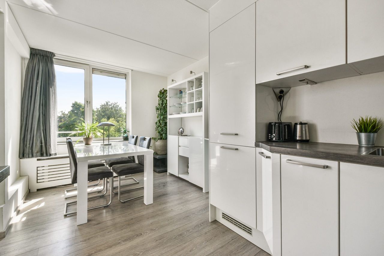 The kitchen and the dining room of a modern apartment