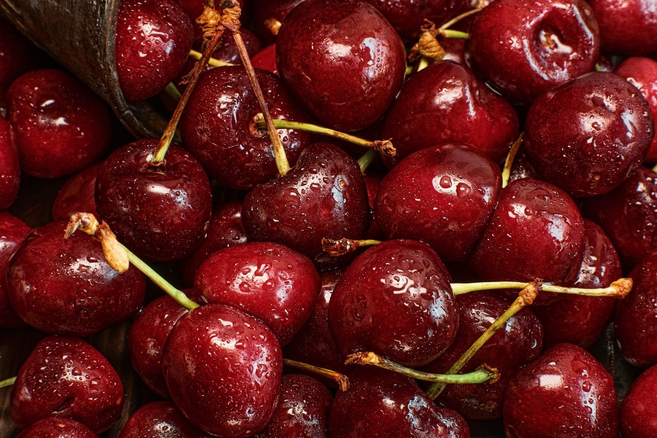 Cherry in drops of water close-up. Arrangement of berries for the background. Fresh harvest of juicy cherries, pie or juice ingredient
