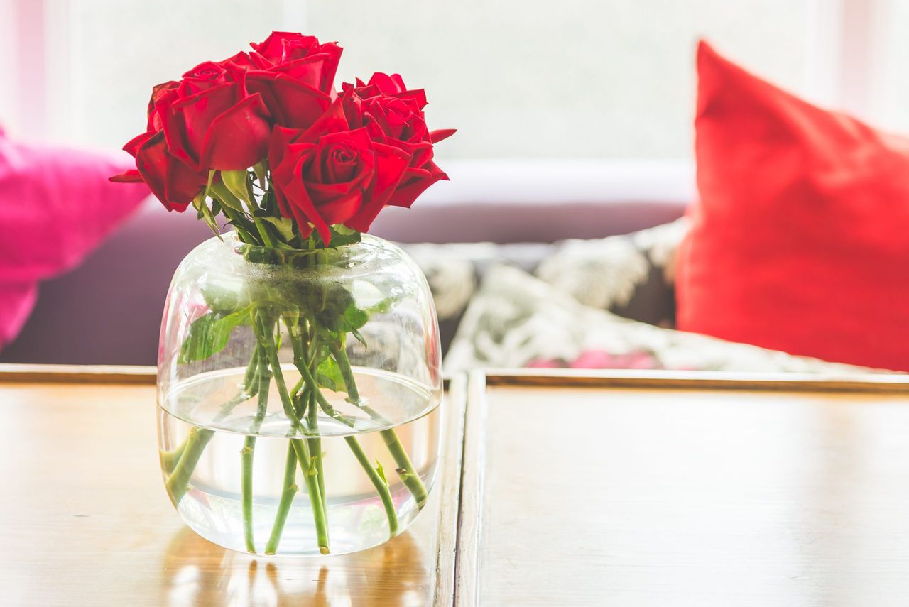 Rose flower in vase - vintage filter