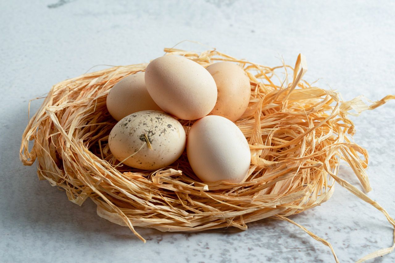 Close up photo of fresh organic chicken eggs on straw. High quality photo