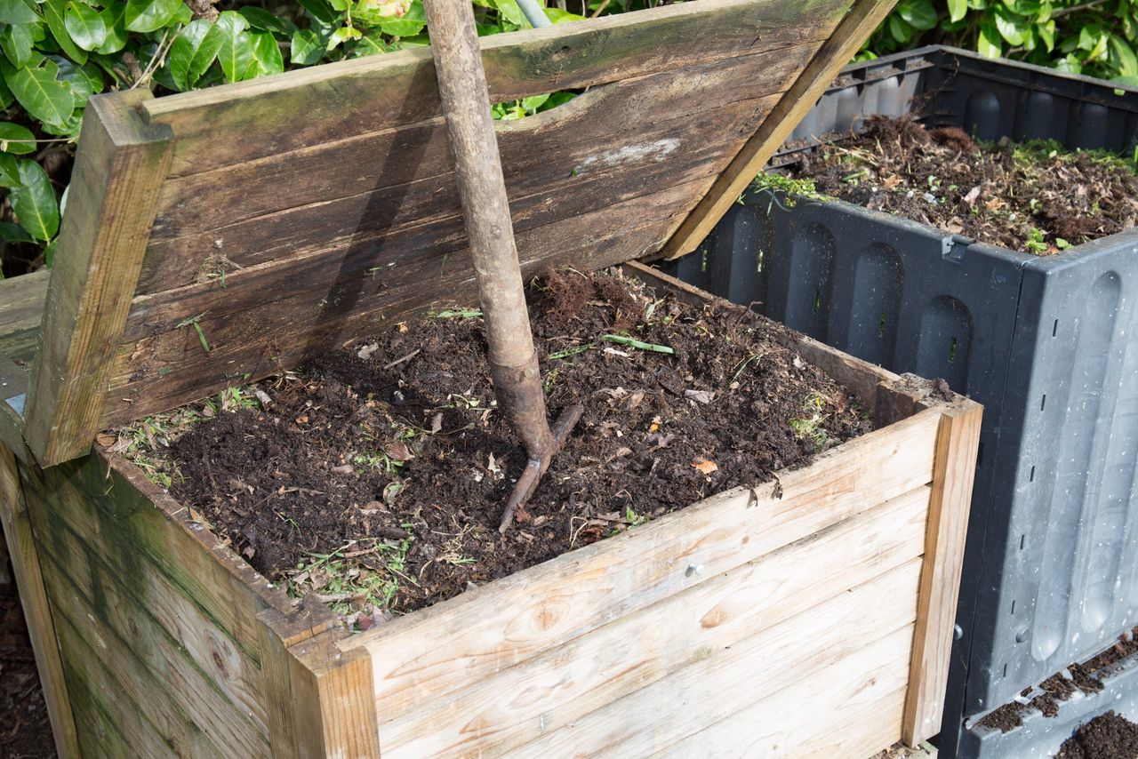 two compost in the family garden full