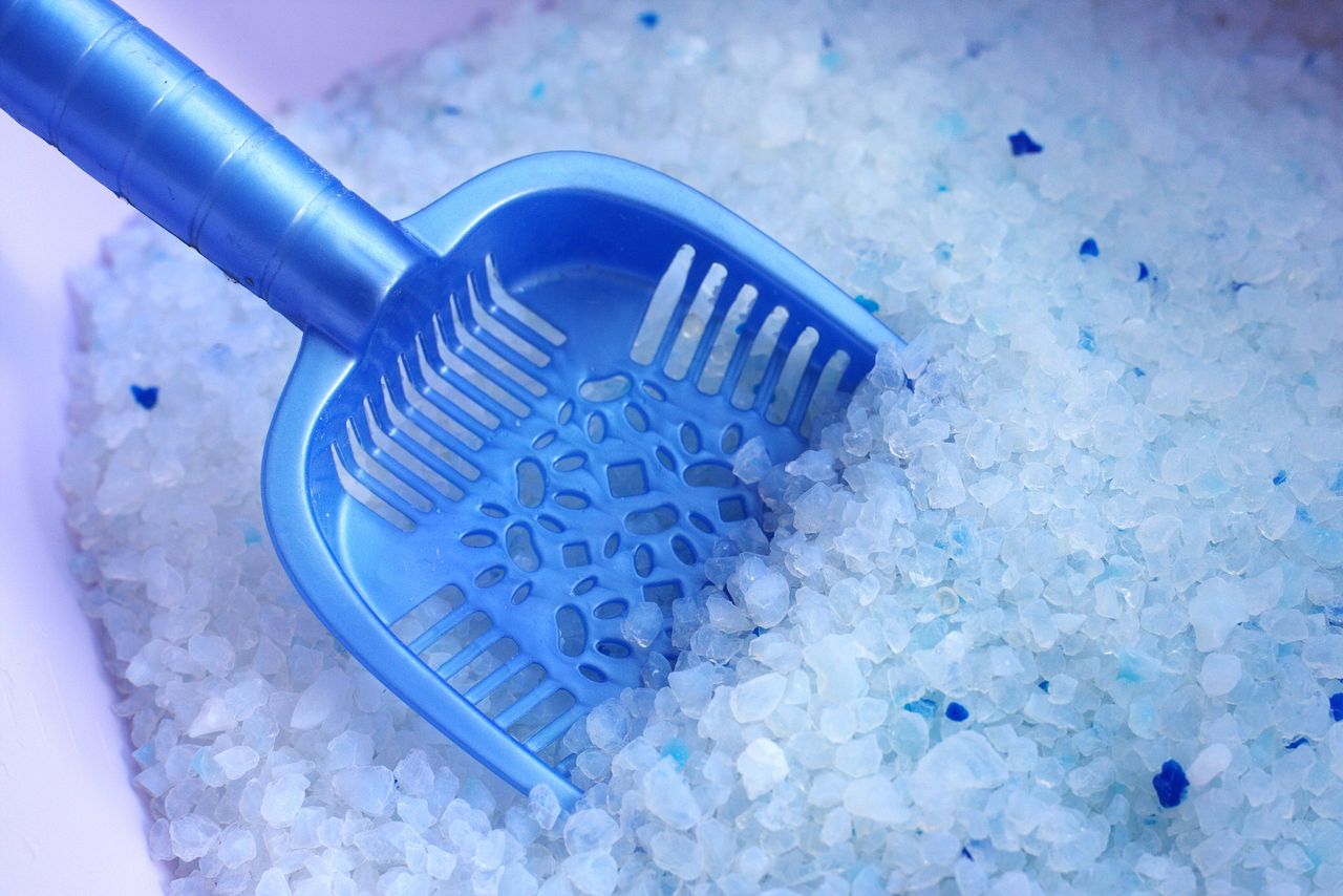 Silica gel cat litter tray and dustpan. Absorber of odor and moisture. Pet Hygiene. Close-up view from above.