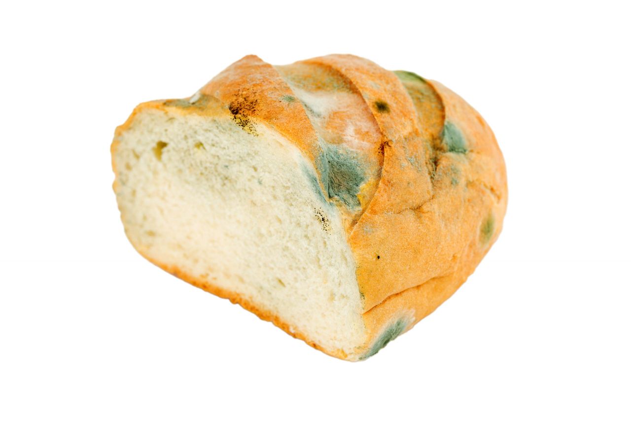 Mouldy bread on a white background. Expired pastries.