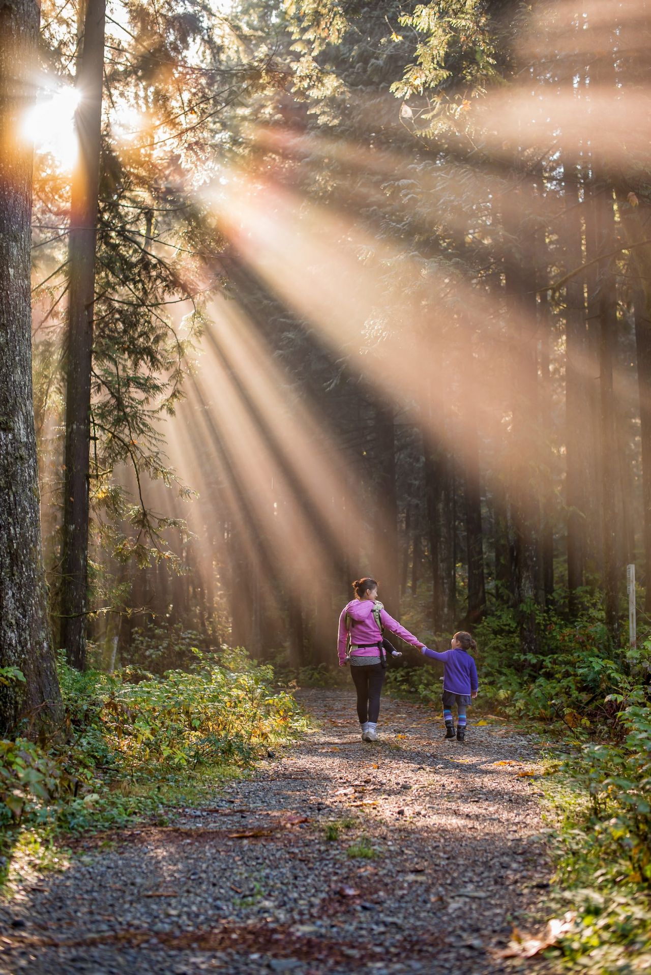 11 minut ćwiczeń dziennie, fot. Unsplash