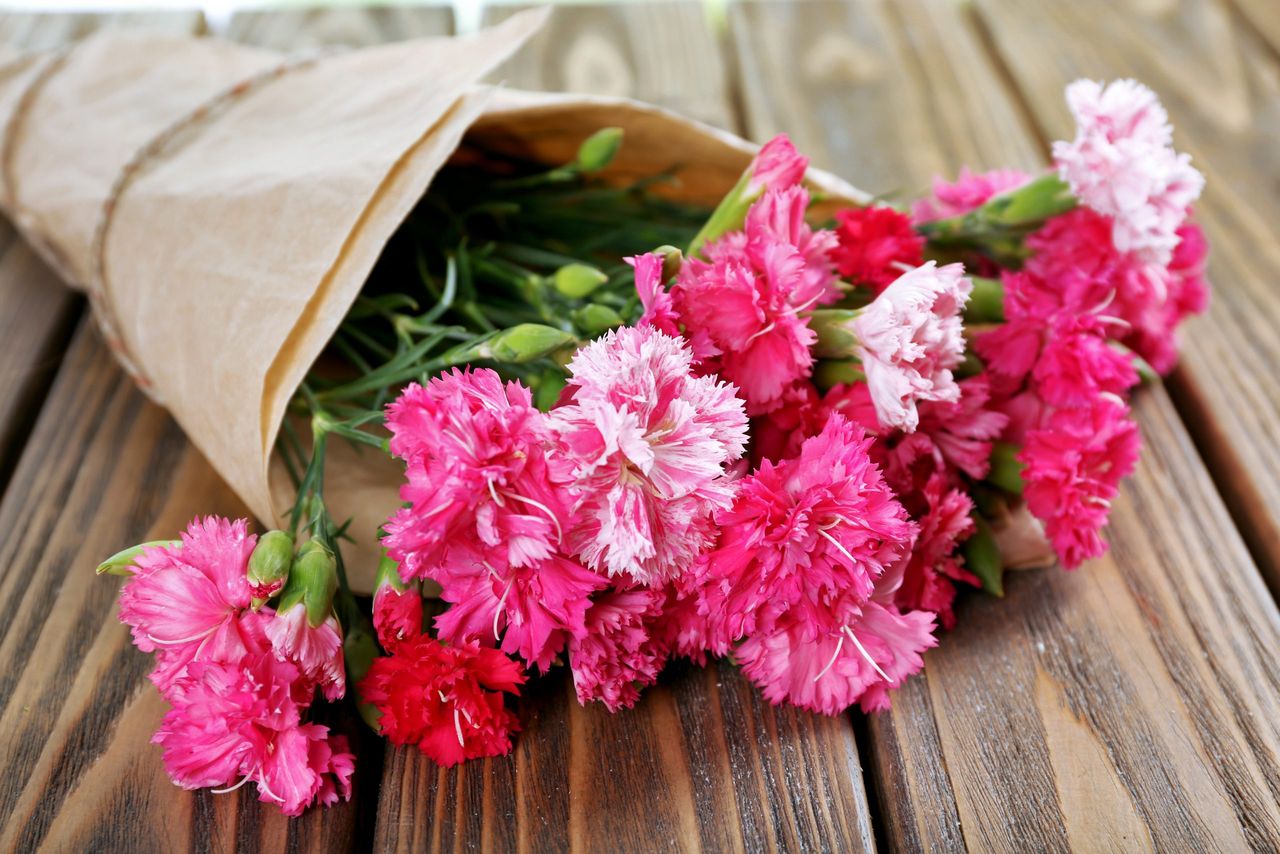 Beautiful bouquet of pink carnation on wooden table close up