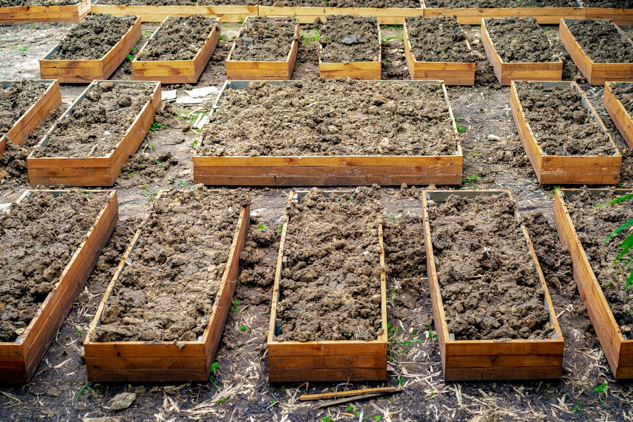 soil in rectangle flowerpot is prepared for homegrown vegetable planting in the garden.