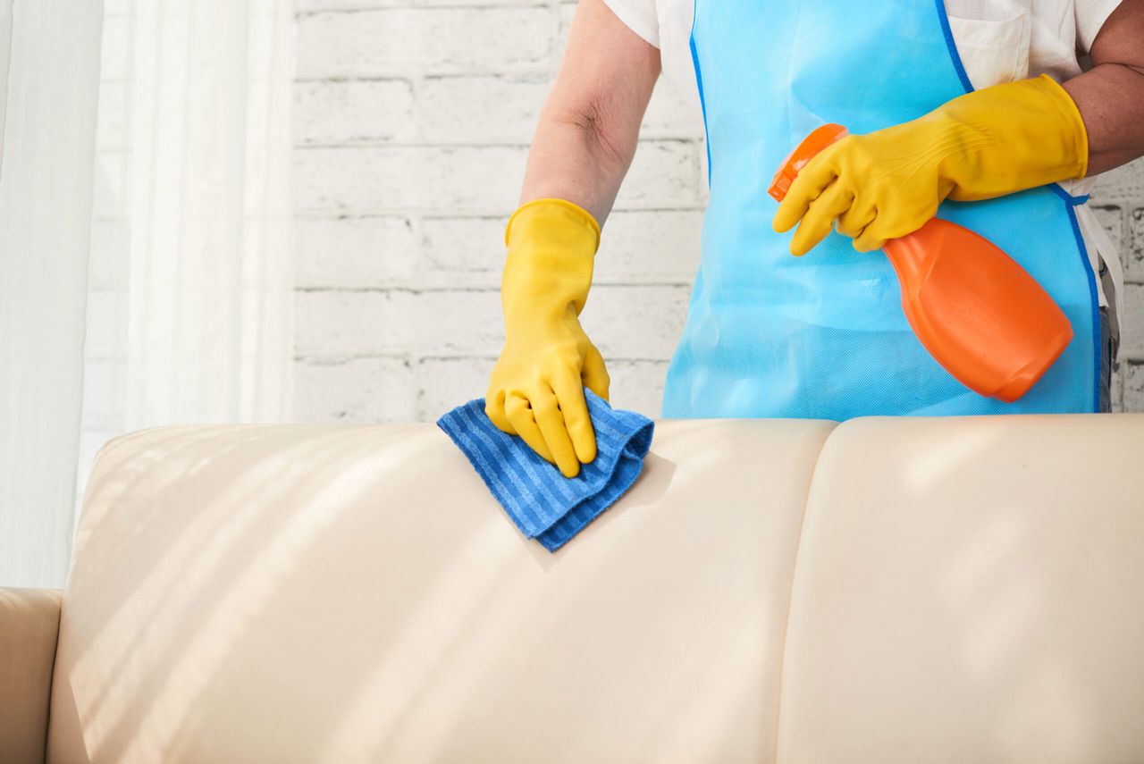 Close-up image of housewife using detergent to clean leather sofa