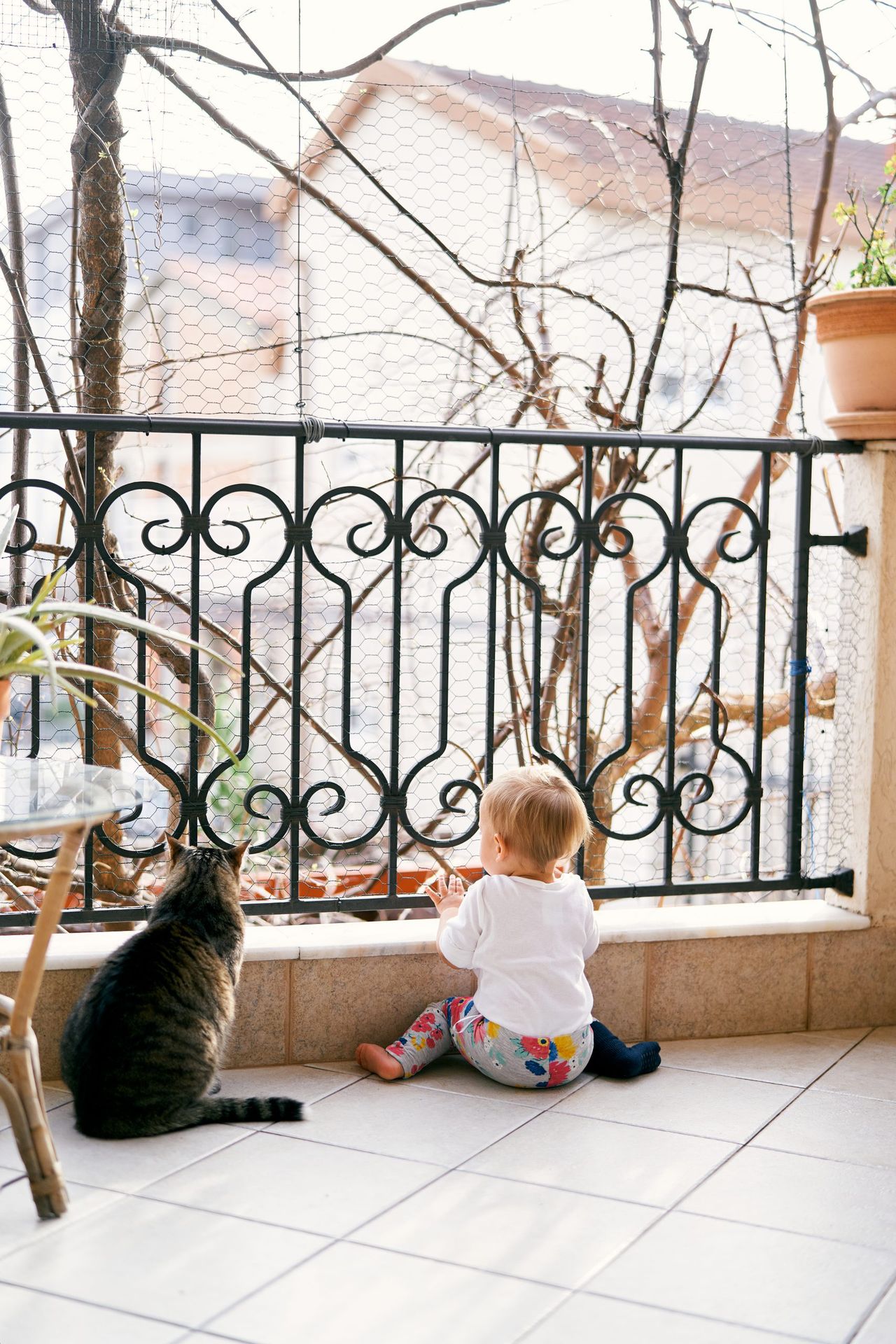 Small child sits on the balcony near the forged lattice and a table with flowerpots. A tabby cat sits next to him. High quality photo