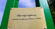 Historyczny słup przypomina o dawnej trasie trolejbusowej w Poznaniu