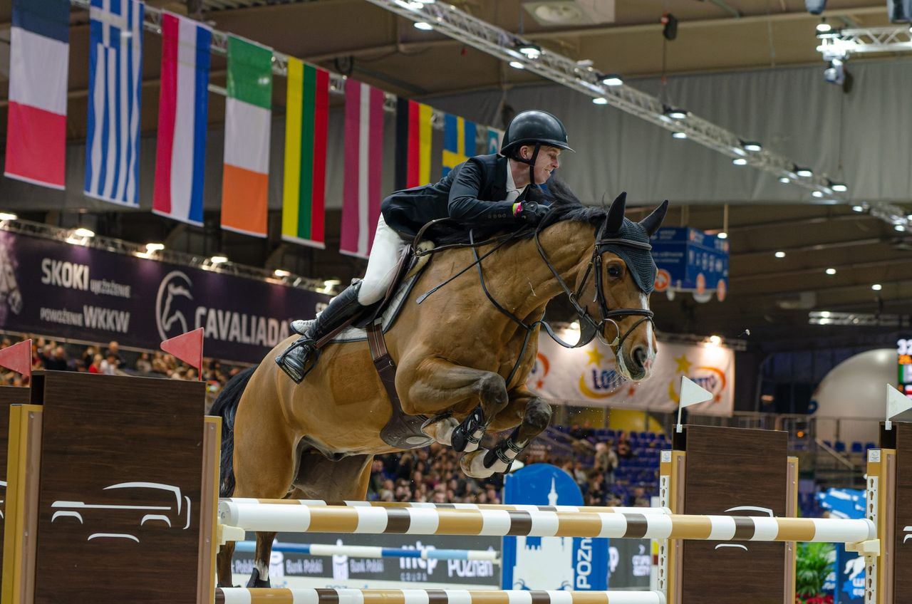 CAVALIADA Poznań, dzień pierwszy zawodów.