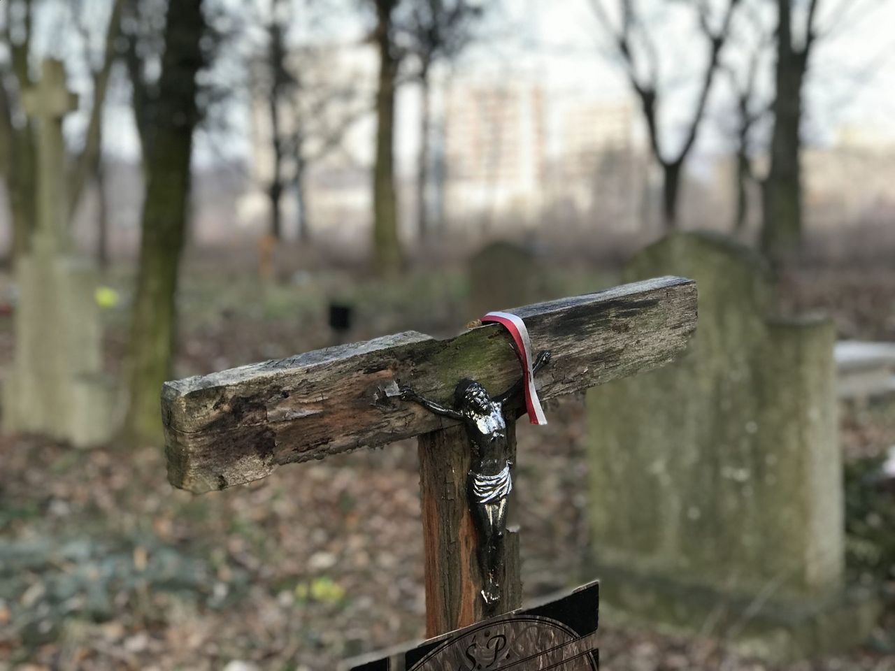 Cmentarz na Samotnej popada w ruinę. Czy jest dla niego ratunek?