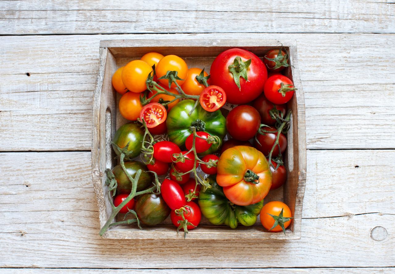 Włóż między pomidory, a te zielone dojrzeją szybciej niż myślisz