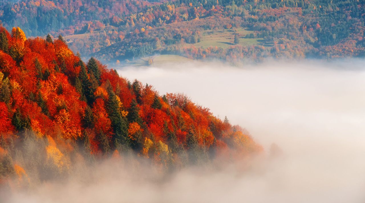 Rzuć wszystko i wyjedź... w Tatry. Jesienią są jeszcze piękniejsze!