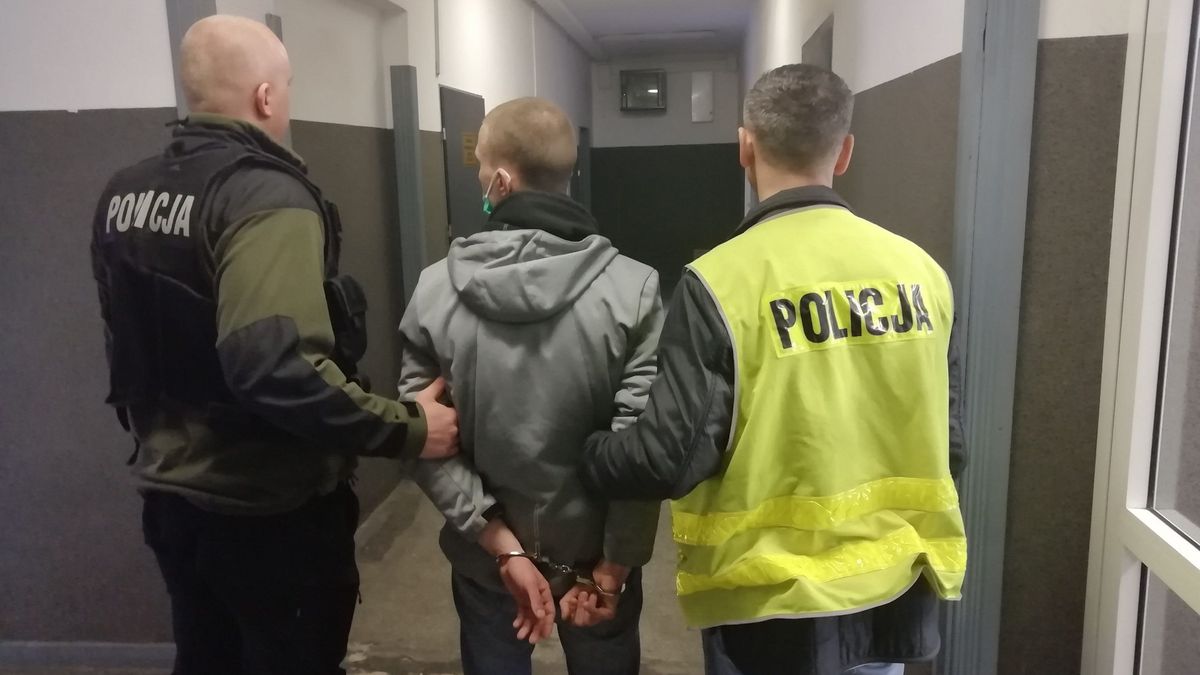 zdjęcie