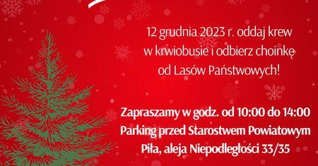 Weź udział w akcji “Choinka dla życia – oddaj krew i odbierz choinkę