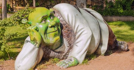 Chcesz poczuć się jak Shrek i zanocować na bagnie? Musisz spełnić 1 warunek