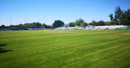 Poznań przeznaczy 2 mln złotych na modernizację stadionu Warty