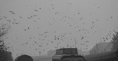 Rekordowy smog w Lahaur. Zamknięte szkoły i praca zdalna w obliczu kryzysu