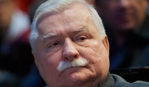 Spoliczkowana demonstrantka. Lech Wałęsa i Pawłowicz komentują zajście