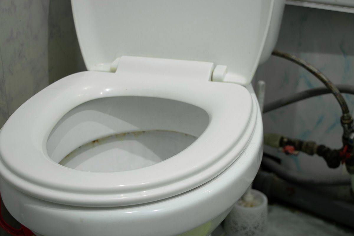 Jak usunąć żółte plamy z deski wc? Fot. Getty Images