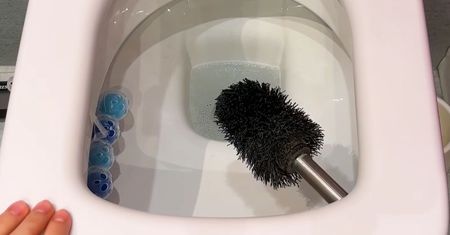 Oto dlaczego przytrzaskuję klapą szczotkę do wc po każdym jej użyciu