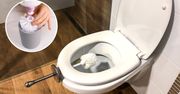 Jak wyczyścić szczotkę do toalety? Najlepszy sposób na dezynfekcję