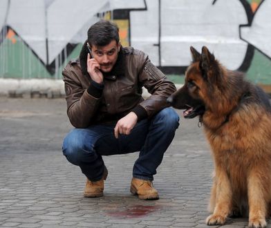 Seriale, teleturnieje i reality-show na dziś - "Komisarz Alex", "Mam talent", "Twoja twarz brzmi znajomo" [Sobota 05.10.2019]