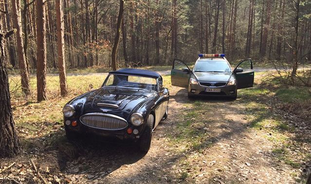 Austin Healey porzucony w lesie