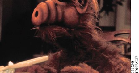 „Alf” – reboot legendarnego serialu.