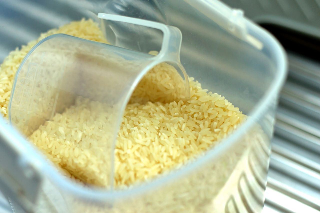 jak odgrzać ryż w mikrofali, fot. Unsplash