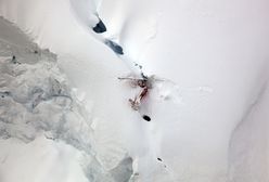 Ogłoszono wstępny raport ws. tragedii Polaków na Alasce. Ich ciała nie zostaną wydobyte