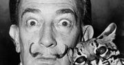 Salvador Dali został ekshumowany. Rzekoma córka walczy o gigantyczny spadek