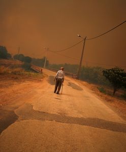 Brunatne niebo nad plażą w Portugalii. Przerażający efekt pożarów