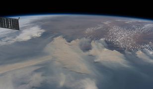 Dym z pożarów w Australii okrąży Ziemię. Szokujące zdjęcie NASA