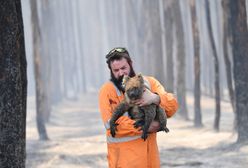 Australia płonie. Znany naukowiec: Zginął ponad miliard zwierząt