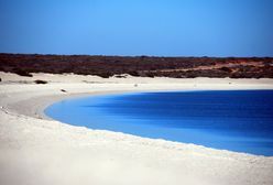 Najdziwniejsze plaże świata - podziemna, geotermalna, szczekająca...